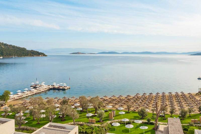 Voyage Torba 128