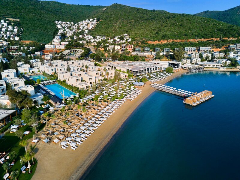 Voyage Torba 50