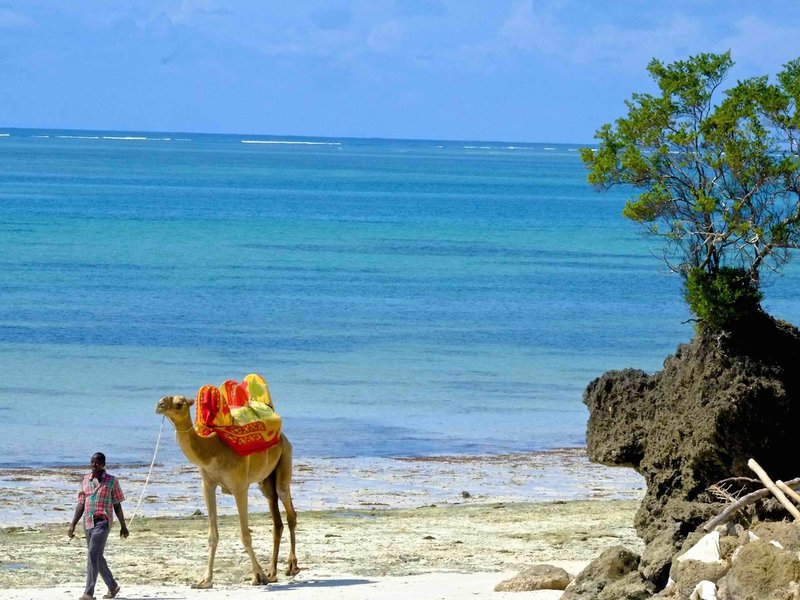 Voyager Beach Resort 11