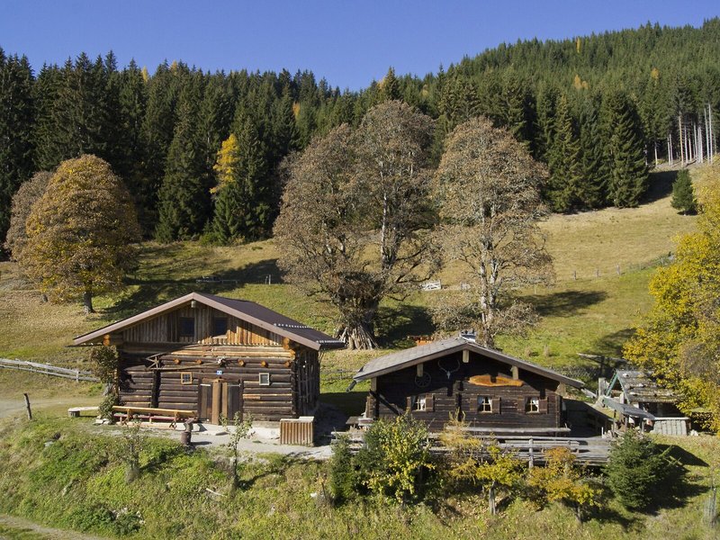 Alpenwelt 4
