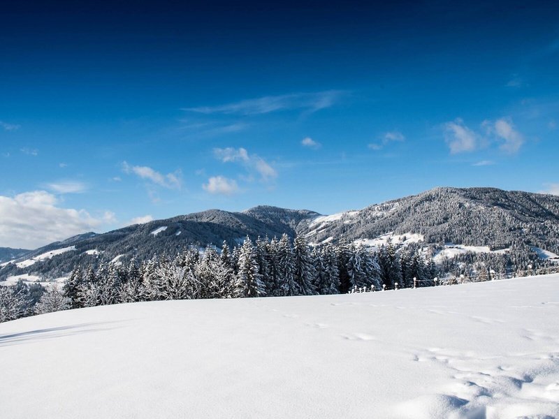 Alpenwelt 7
