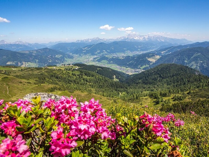 Alpenwelt 9