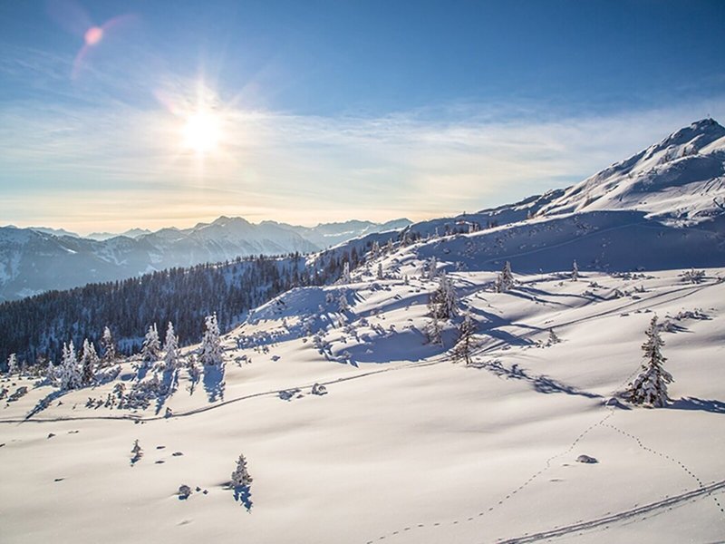 Alpenwelt 11