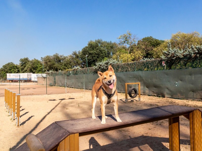 Camping Village Fabulous 33