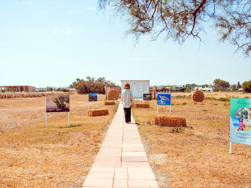 Torre Guaceto Resort 6