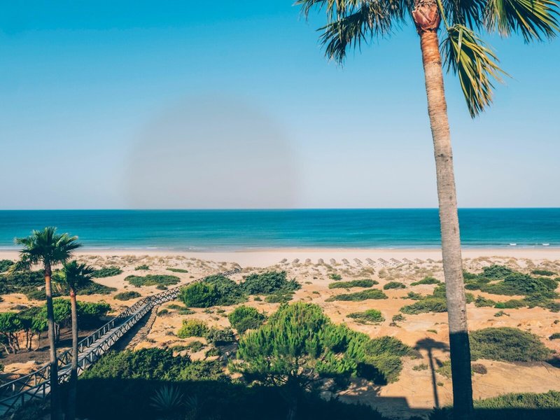 Iberostar Royal Andalus 36