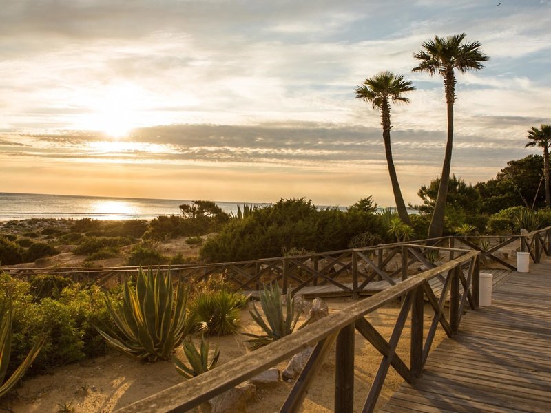 Iberostar Waves Royal Andalus 5