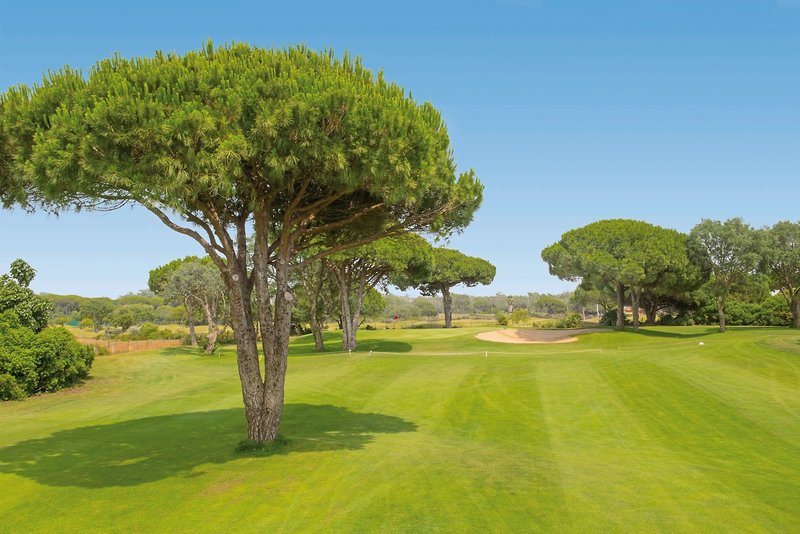 Iberostar Waves Royal Andalus 3