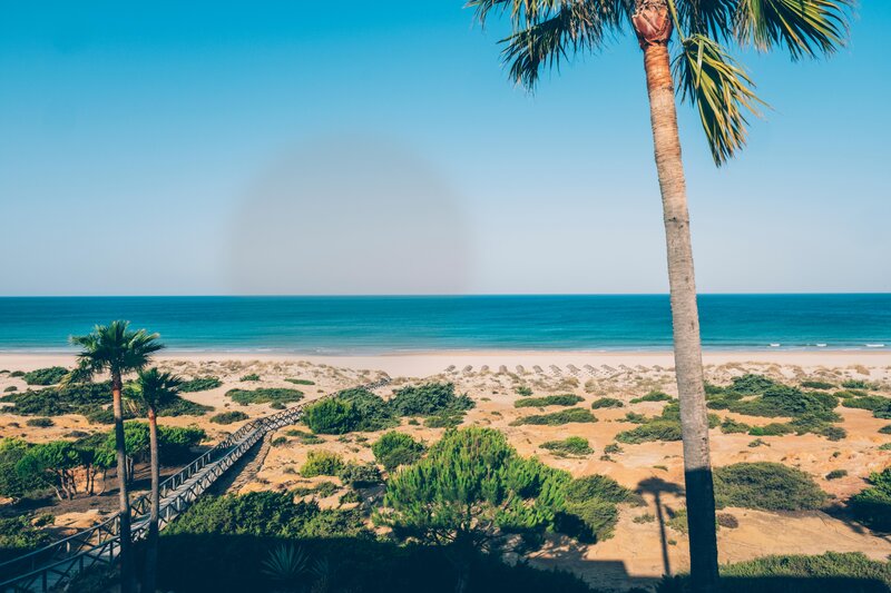 Iberostar Waves Royal Andalus 46