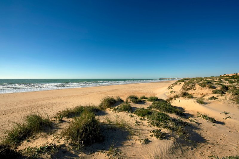 Iberostar Waves Royal Andalus 7