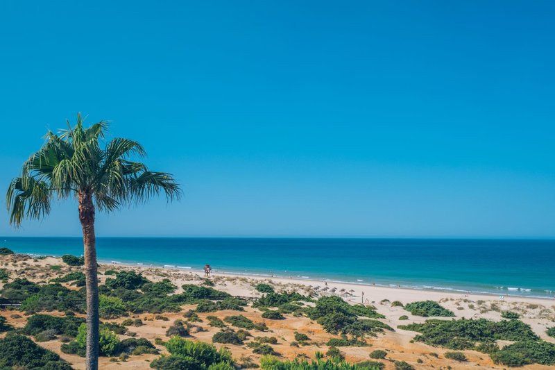 Iberostar Waves Royal Andalus 10