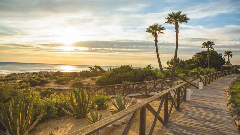 Iberostar Waves Royal Andalus 11