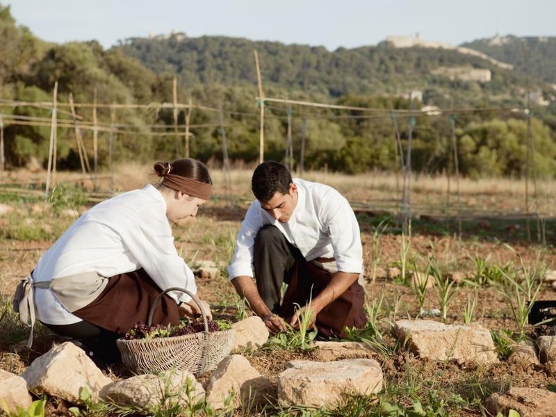 Predi Son Jaumell Hotel Rural 7