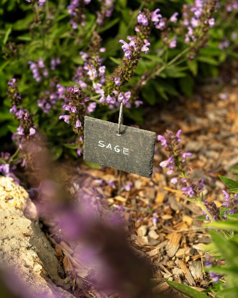 Predi Son Jaumell Hotel Rural 40