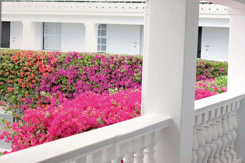 Winchester Mansions 22