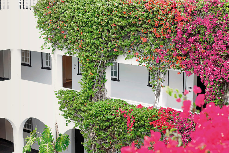 Winchester Mansions 23