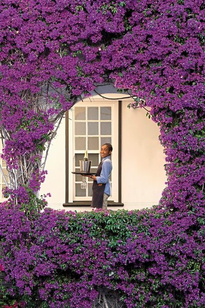 Winchester Mansions 29