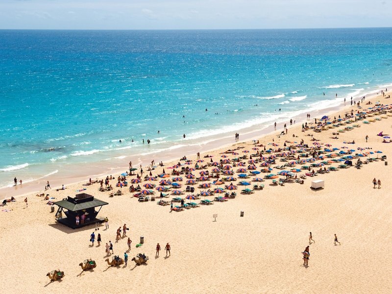 TUI KIDS CLUB Riu Oliva Beach 5 - Beach