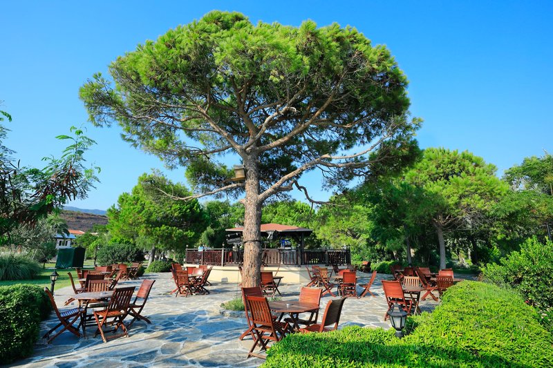 Cactus Club Yali Hotels & Resort 9