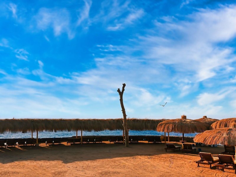 Zahabia Hotel and Beach Resort 5