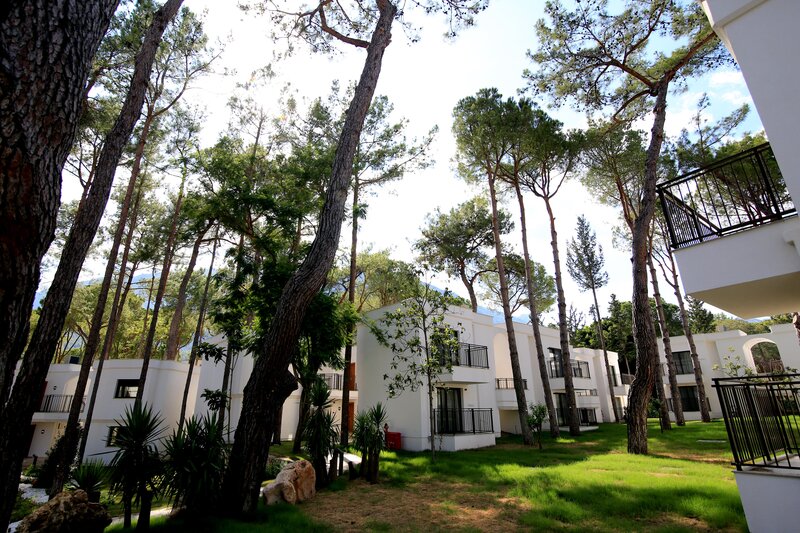 Aydinbey Siu Collection 29