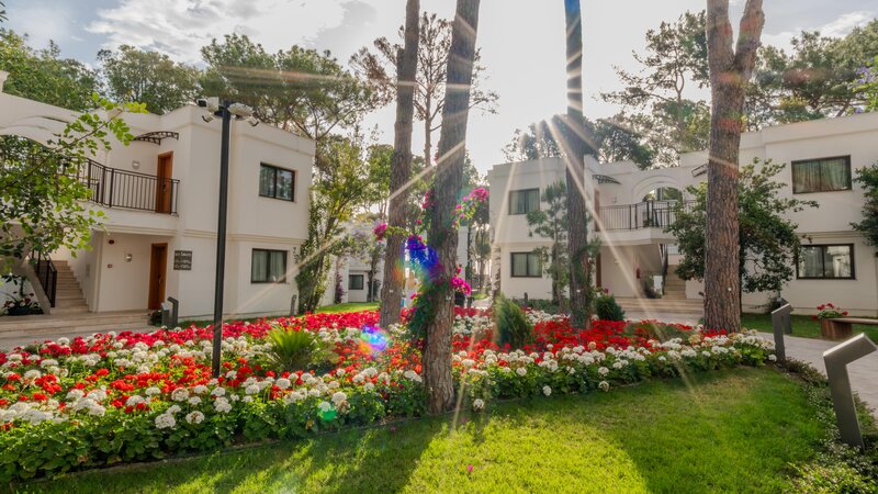 Aydinbey Siu Collection 41