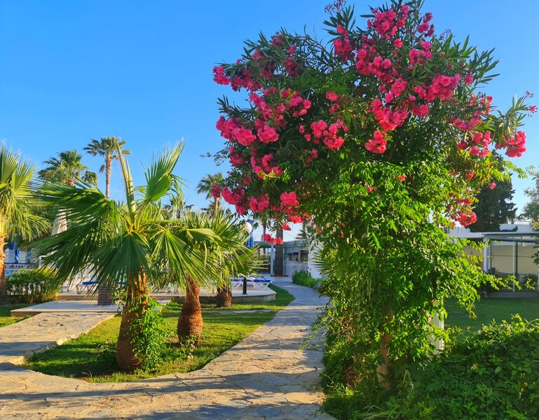 Nagi Gümbet Beach 4