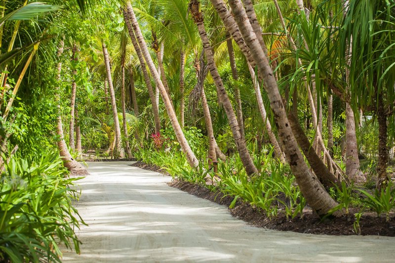 Dusit Thani Maldives 4