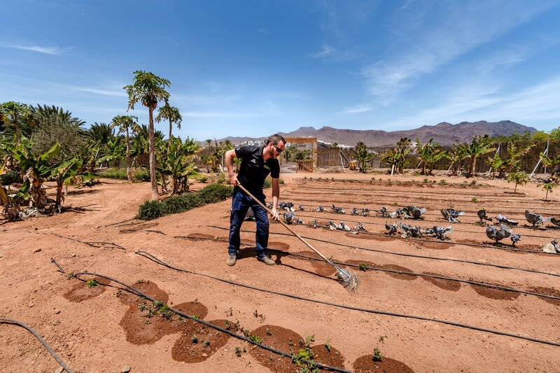 Aparthotel Playitas 29