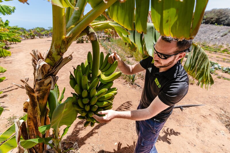 Aparthotel Playitas 30