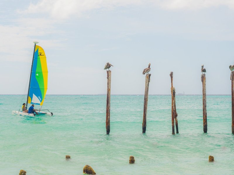 Tamarijn Aruba All Inclusive 36