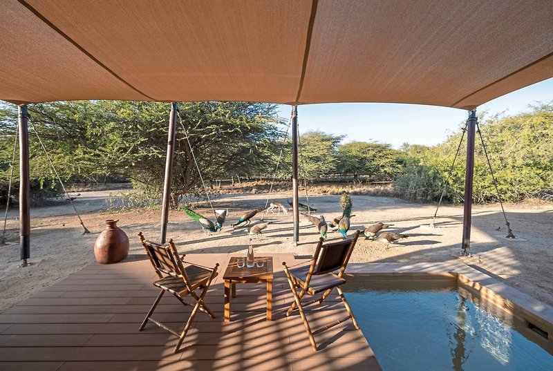 Anantara Sir Bani Yas Island Al Sahel Villa Resort 4