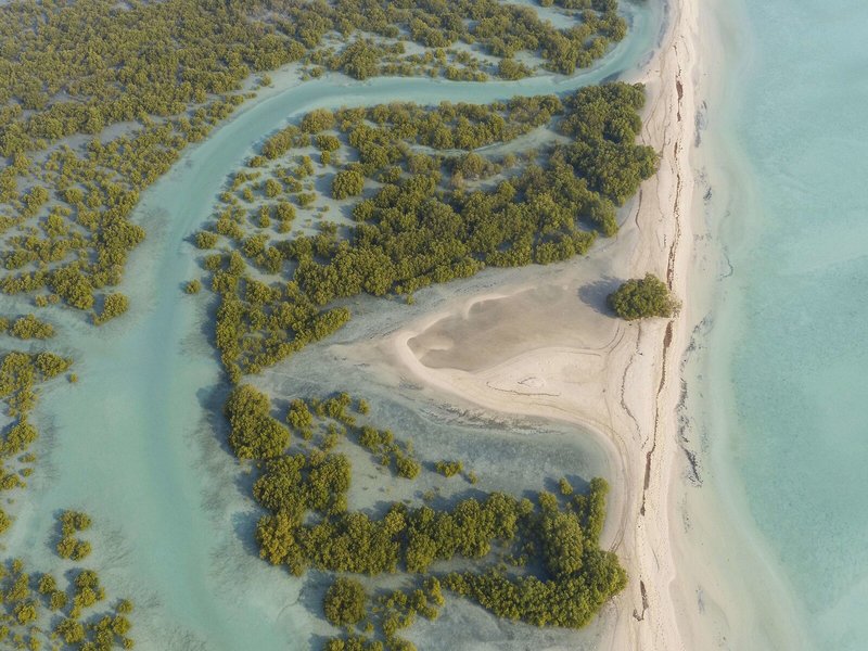 Anantara Sir Bani Yas Island Al Sahel Villa Resort 6