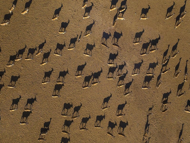Anantara Sir Bani Yas Island Al Sahel Villa Resort 8
