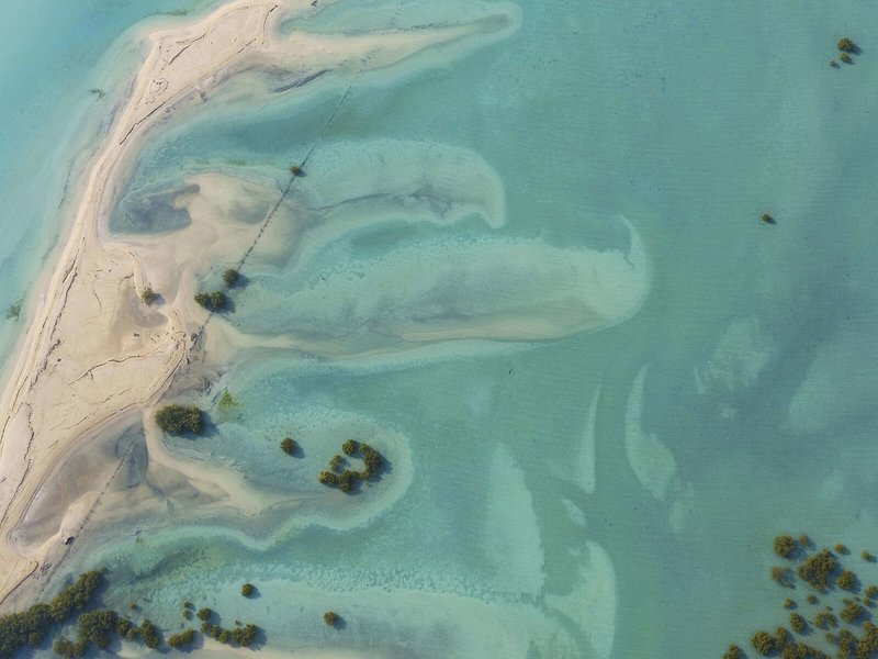 Anantara Sir Bani Yas Island Al Sahel Villa Resort 10