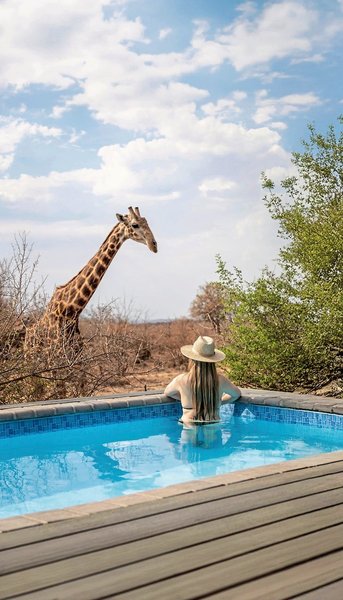 Tuningi Safari Lodge 10