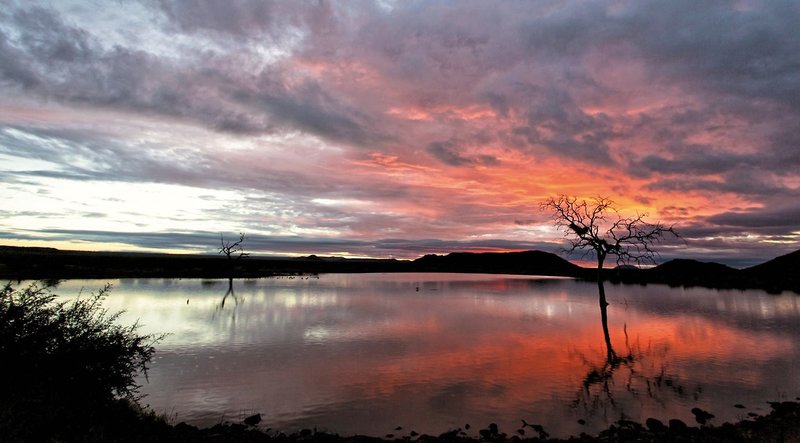 Tuningi Safari Lodge 21