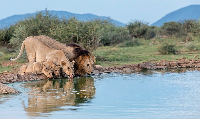 Tuningi Safari Lodge 22