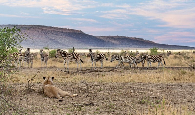 Tuningi Safari Lodge 23
