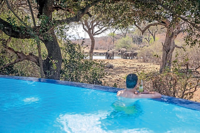 Tuningi Safari Lodge