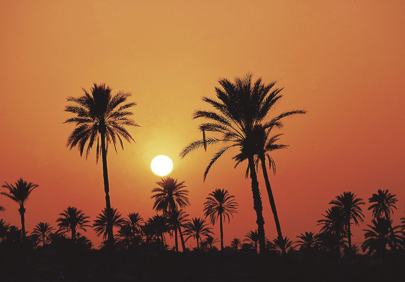 Seabel Aladin Djerba 25