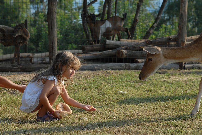 Arbatax Park Resort - Telis 23