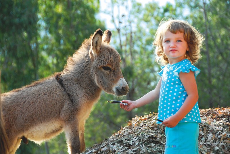 Borgo Cala Moresca 15