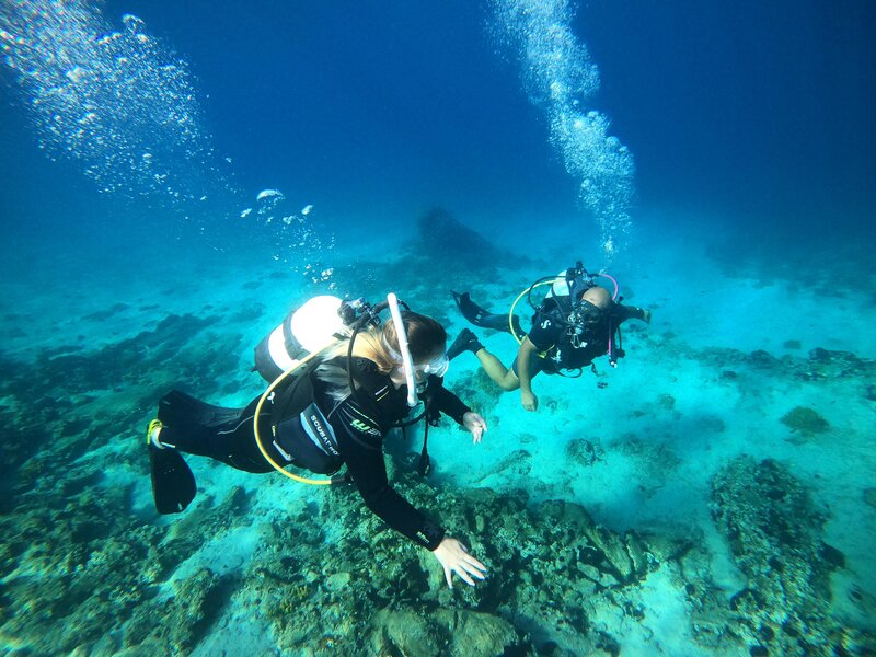 Alexandros Palace 213