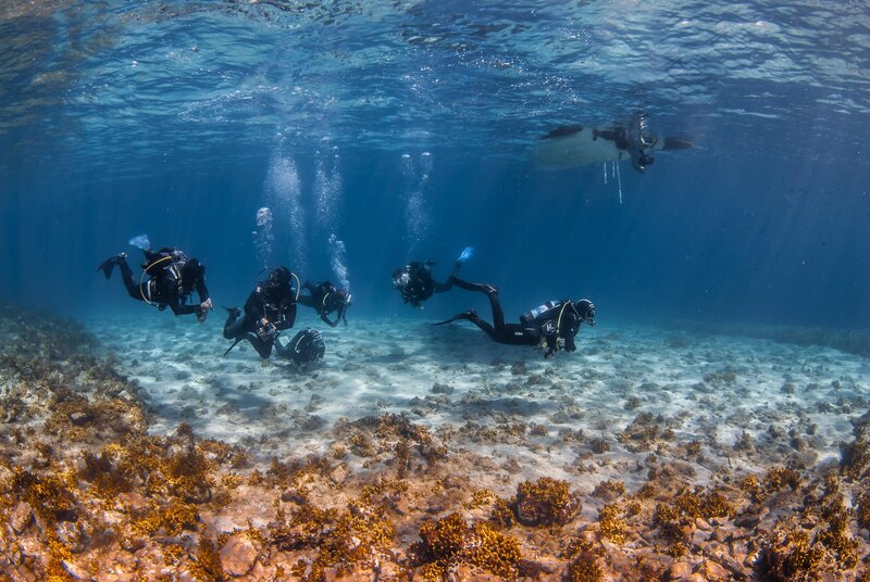 Alexandros Palace 104