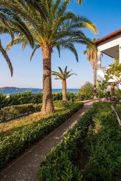 Alexandros Palace 24