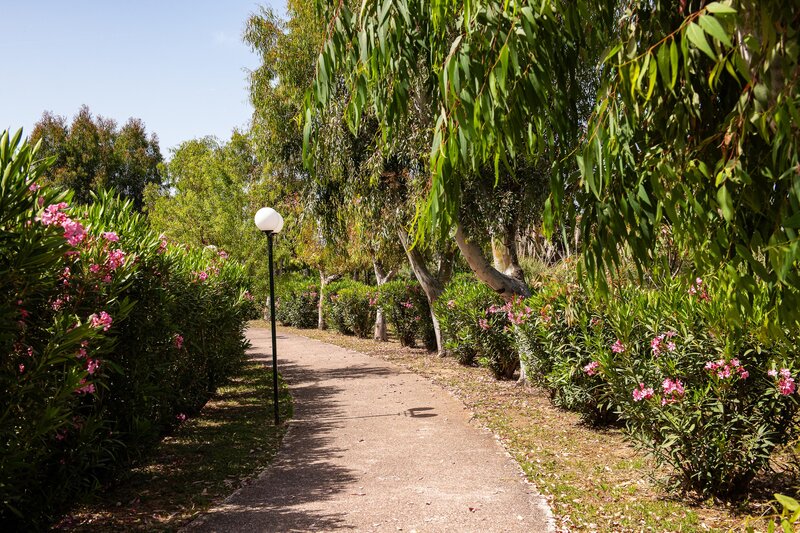 Alexandros Palace 120