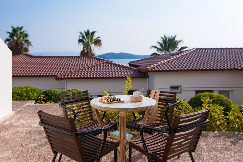 Alexandros Palace 91