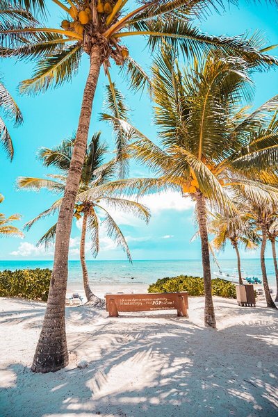 Grand Palladium Kantenah Resort & Spa 5