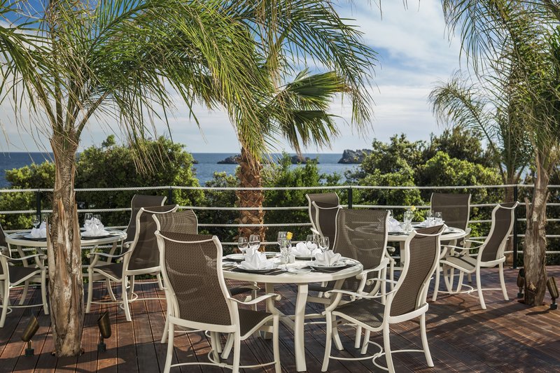 Importanne Royal Palm 7